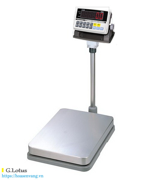 Cân bàn công nghiệp DB-II-CI200A 60kg tiêu chuẩn