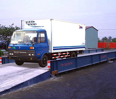 can-xe-tai-ban-i600-truck-scale-hoa-sen-vang.jpg