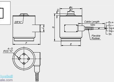 Cam-bien-tai-loadcell-hc-20tf-200tf-hoasenvang-nen-2