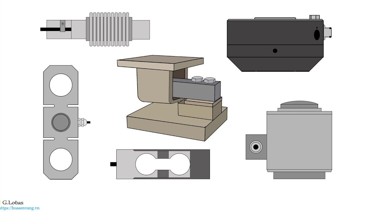Cam bien tai trong loadcell hoasenvang com vn hoat dong 2