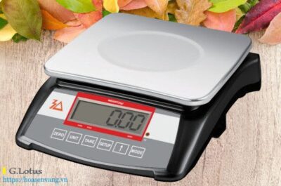 Thương hiệu Zelus và các sản phẩm cân điện tử đột phá