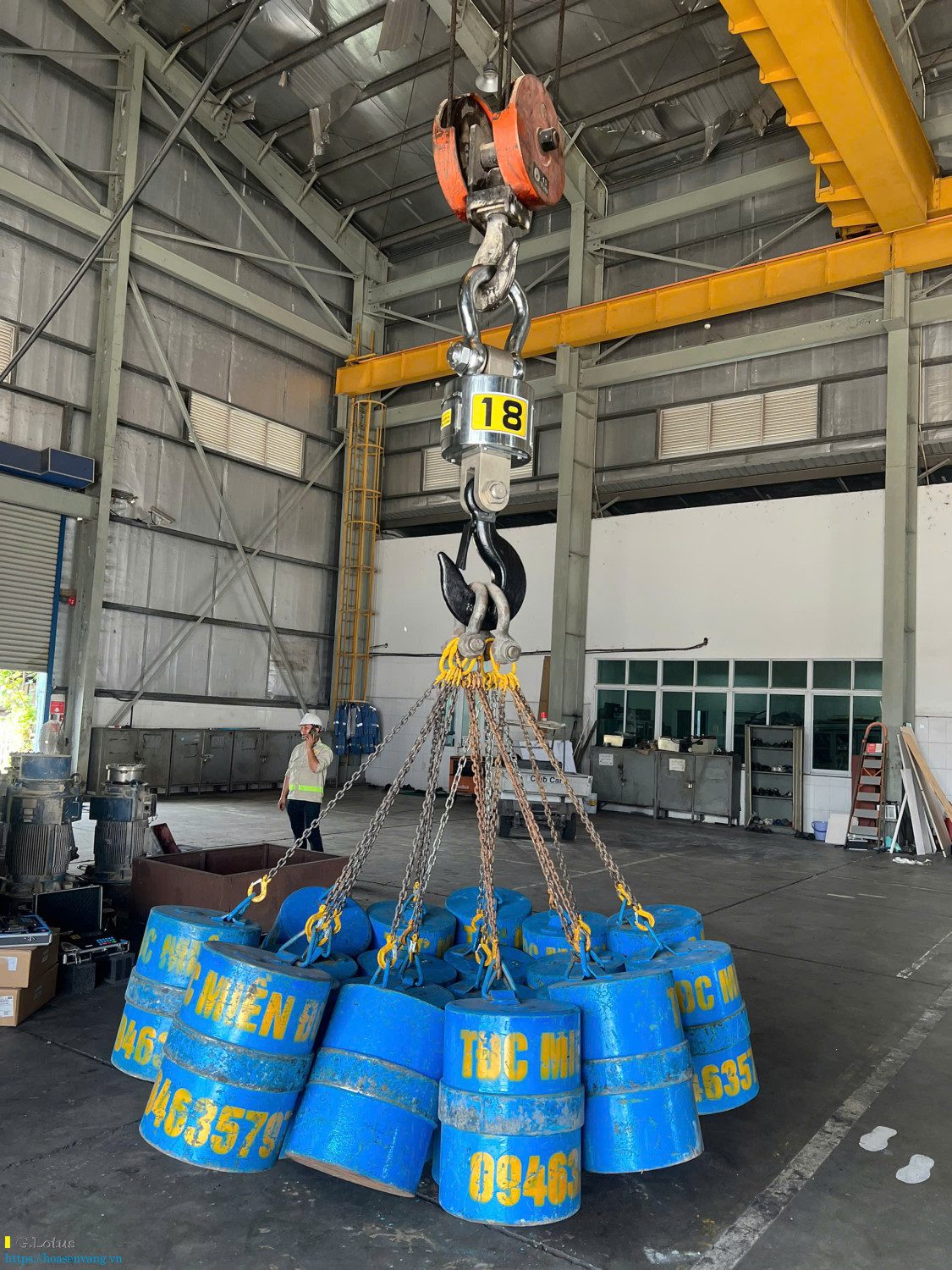 Can treo dien tu OCS 50 tan Hoa sen vang test weight 2025 2