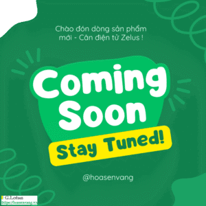 Coming Soon Zelus weighing scale