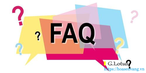 faq-dini-argeo-lotusscale-1 faq-dini-argeo-lotusscale-1.jpg
