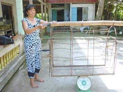 Chị Điệp mô tả lại cách gian lận của thương lái