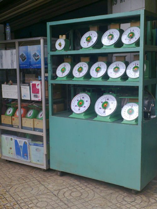 do can o sai gon 1-hoa sen vang