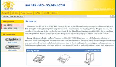 Ra mắt và công bố website