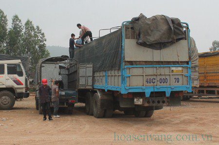 nghe-an-can-xe-tai-can-qua-tai2 nghe-an-can-xe-tai-can-qua-tai2.jpg