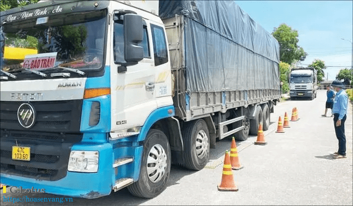 Hoạt động của Trạm kiểm tra tải trọng xe cố định tự động 1 cấp
