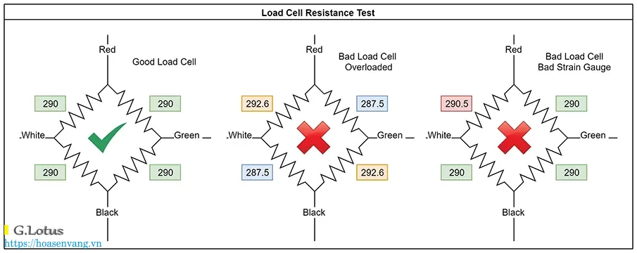 cam-bien-tai-load-cells-strain-gage-test-hoasenvang Cam bien tai Load cells strain gage test hoasenvang