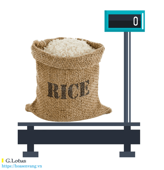 Can dien tu la gi Electronic Weighing scale can ban dww986