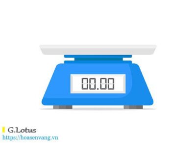 Can dien tu la gi Electronic Weighing scale can dia 2dd33