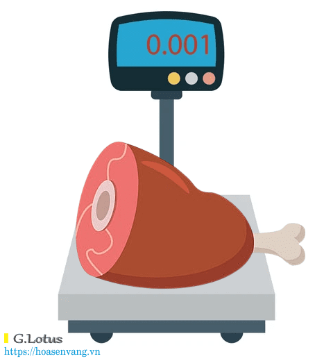 Can dien tu la gi Electronic Weighing scale can dia dsf21
