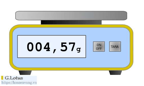 Can dien tu la gi Electronic Weighing scale can dia dw23