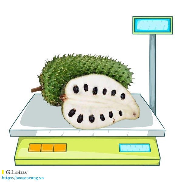 Can dien tu la gi Electronic Weighing scale can tinh gia e7