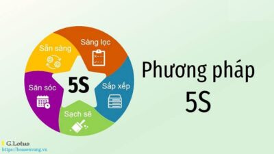 Hoasenvang Quy tac 5s doanh nghiep hien dai hoa hfl779(1)