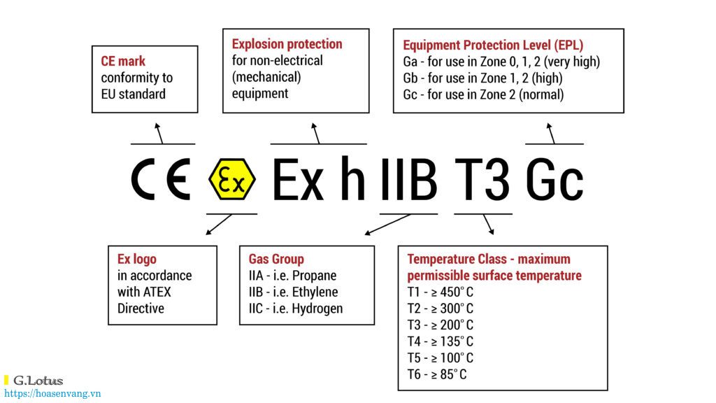 ATEX EX what is it 2