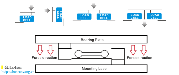 Cam bien tai trong diem don loadcell hoasenvang com vn 3