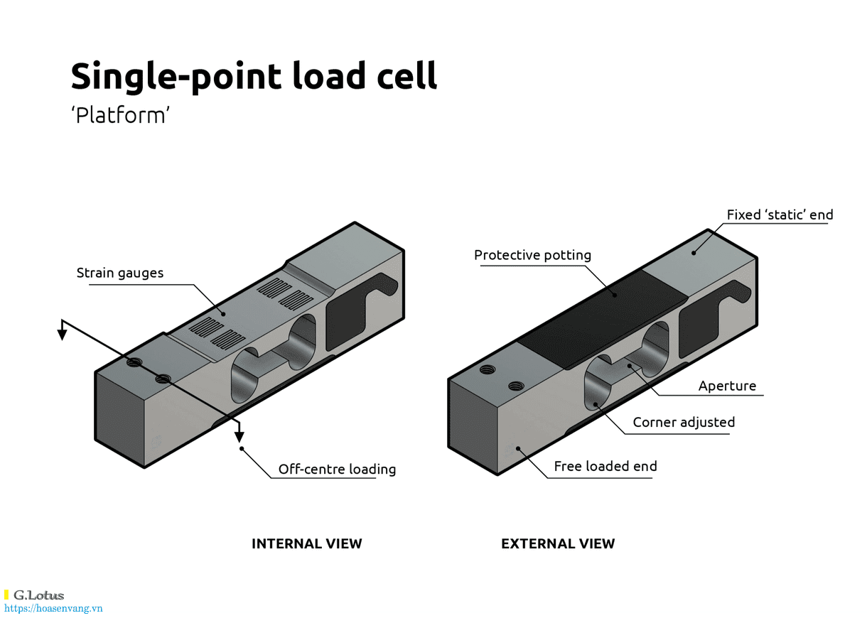 Cam bien tai trong diem don loadcell hoasenvang com vn