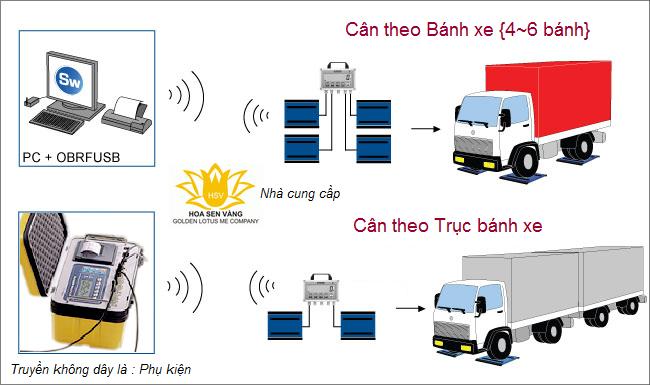 can-xe-tai-xach-tay-2-hoa-sen-vang-golden-lotus-scale.png