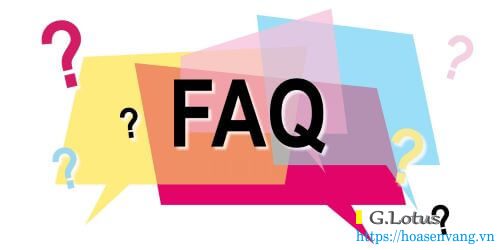 faq-dini-argeo-lotusscale-1 FAQ