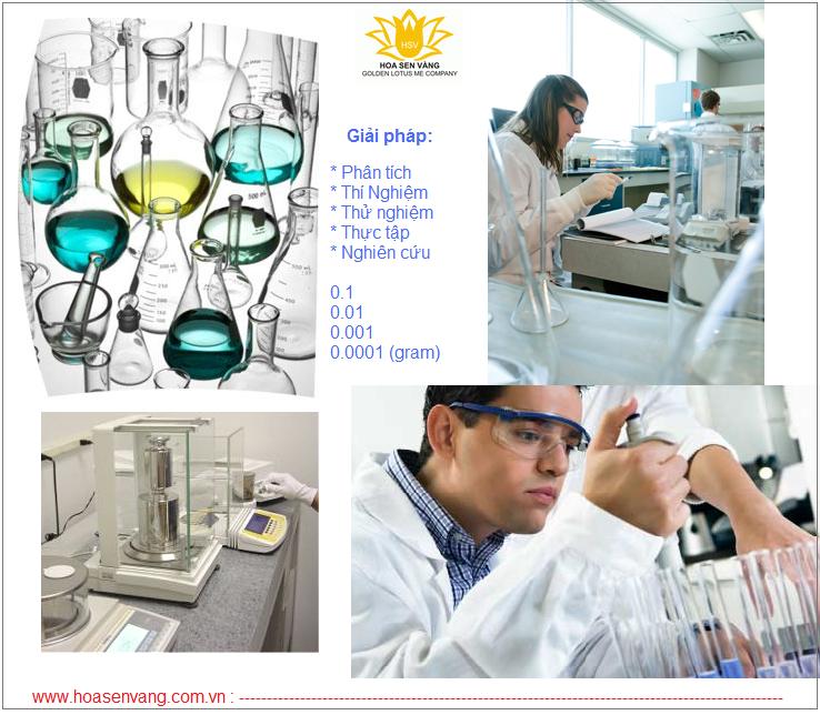 phan-tich-thi-nghiem-hoa-sen-vang-golden-lotus-me-company-1 phan-tich-thi-nghiem-hoa-sen-vang-golden-lotus-me-company.jpg