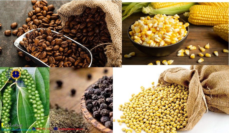 Ung Dung can nong san Can treo cong nghiep Hoasenvang crane scale 02