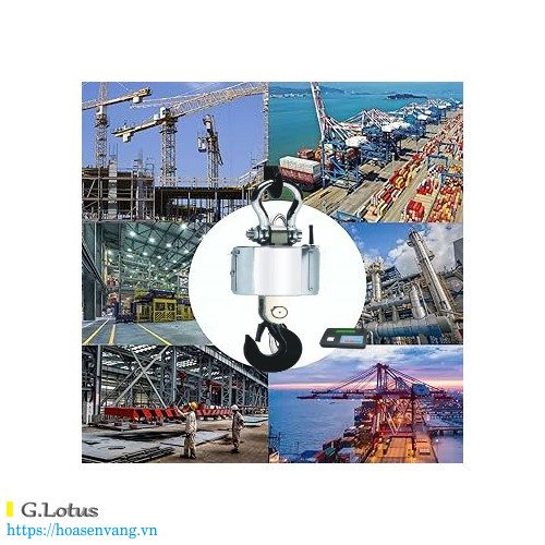 Ung dung cang bien Can treo cong nghiep Hoasenvang crane scale 01