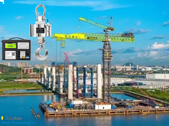ung-dung-cang-bien-can-treo-cong-nghiep-hoasenvang-crane-scale-01 Ung dung cang bien Can treo cong nghiep Hoasenvang crane scale 01